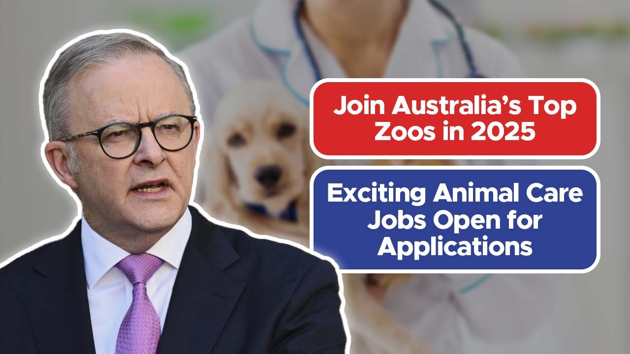 Join Australia’s Top Zoos in 2025 – Exciting Animal Care Jobs Open for Applications